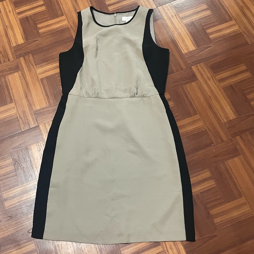 Ann Taylor LOFT dress.